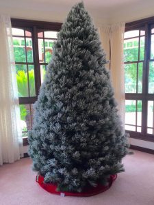 SNOW FLOCKED CHRISTMAS TREES