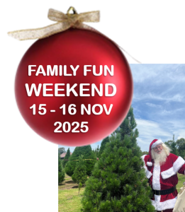 Christmas 2025 at Dural Christmas Tree Farm