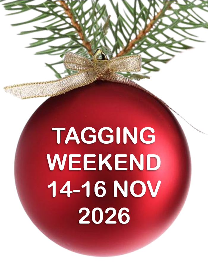 Tagging Days